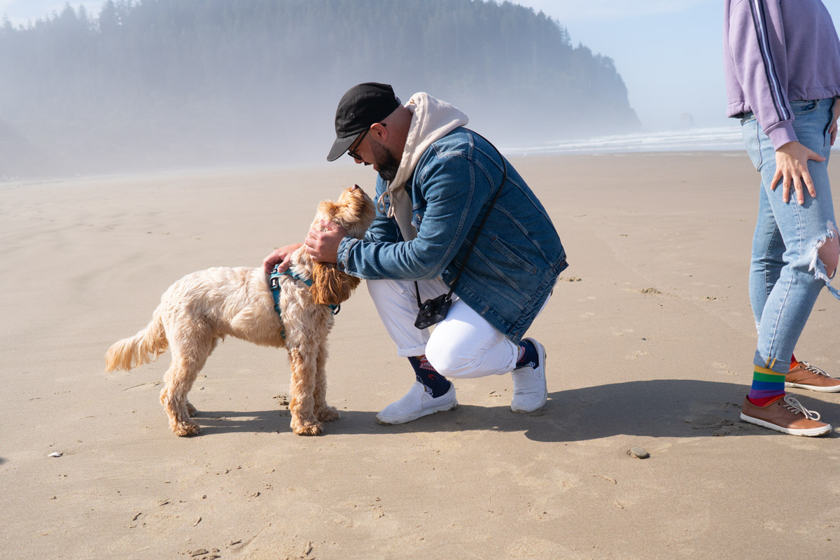 A male model crouching down to pet a dog on a beach.
