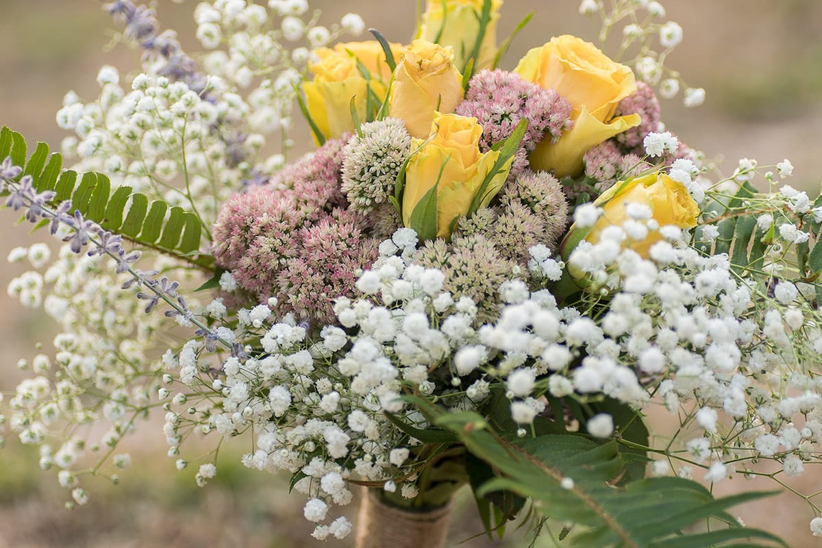 Reagan & Hayden Oregon Wedding Photography